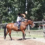 Gyula-tanya * Csongrád